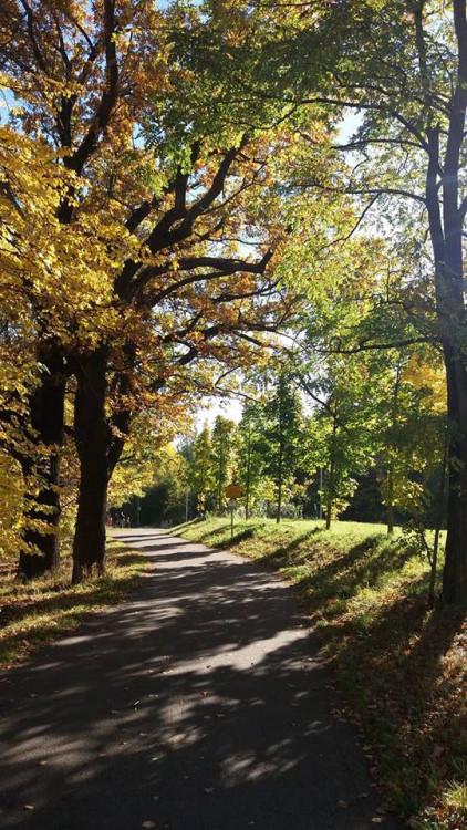 Podzim na jihu Čech