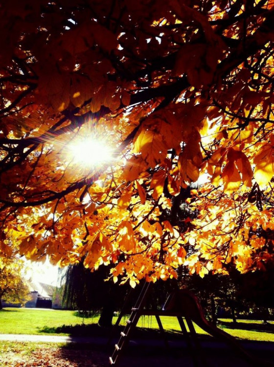 Podzim na jihu Čech