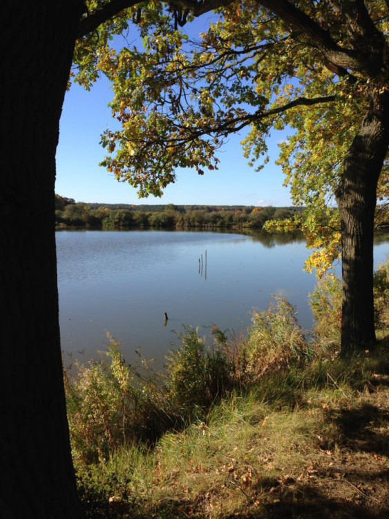 Podzim na jihu Čech