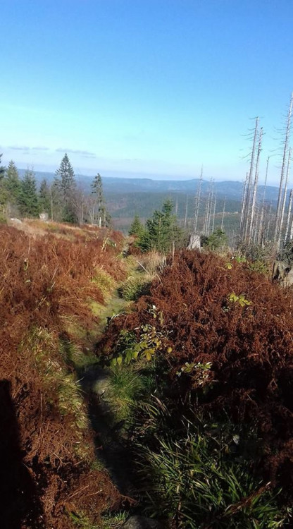 Podzim na jihu Čech