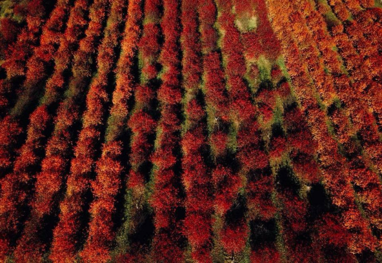 Podzim na jihu Čech