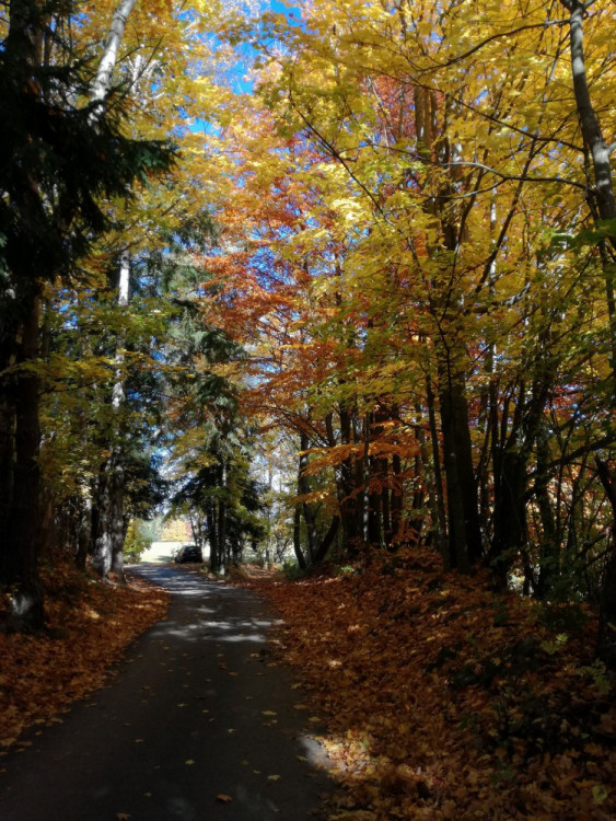 Podzim na jihu Čech