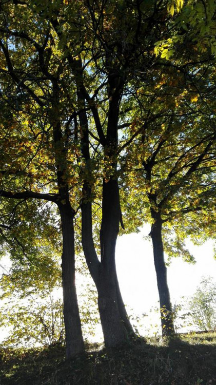 Podzim na jihu Čech