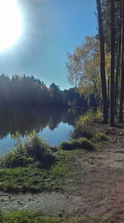 Podzim na jihu Čech