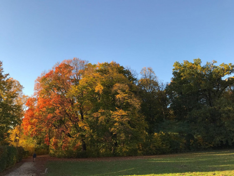 Podzim na jihu Čech