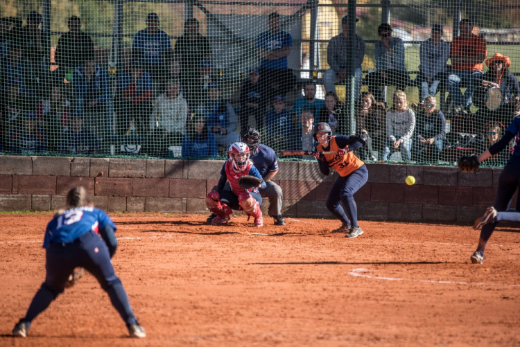 Softbalistky Ledenic vyhrály v sezoně 2016/2017 extraligu