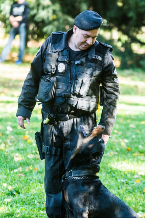 Za Lužánkami se sešly stovky milovníků pejsků, aby pomohly útulkům. Autor: Tomáš Hrivňák