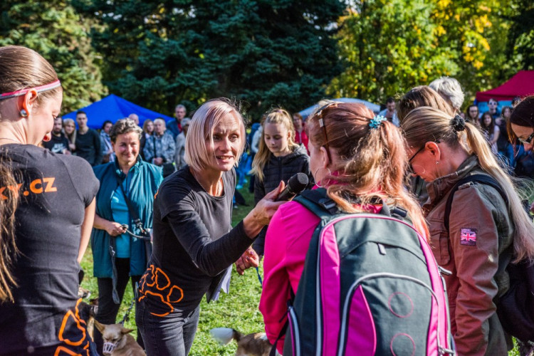 Za Lužánkami se sešly stovky milovníků pejsků, aby pomohly útulkům. Autor: Tomáš Hrivňák