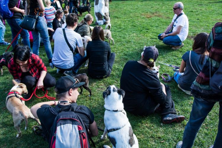 Za Lužánkami se sešly stovky milovníků pejsků, aby pomohly útulkům. Autor: Tomáš Hrivňák