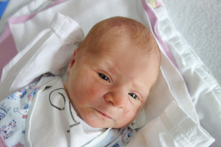 Magdaléna Jarkovská