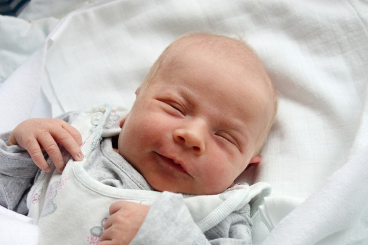 Leontýna Bea Břehovská