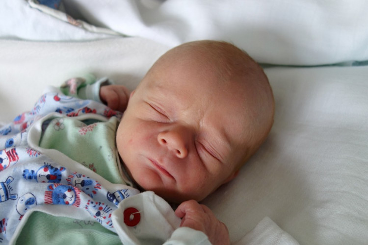 Vladimír Miňovský