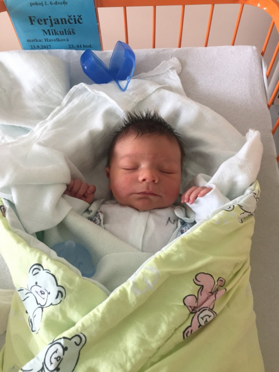 Mikuláš Ferjančič