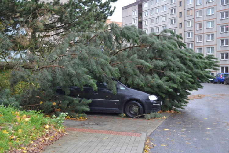 Smrk spadl na auto v Rcohlici u Penny marketu