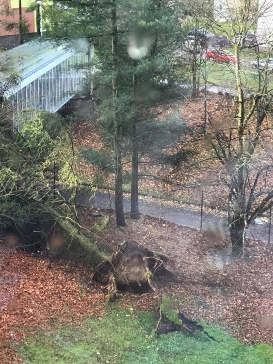 Silný vítr komplikuje život na Liberecku