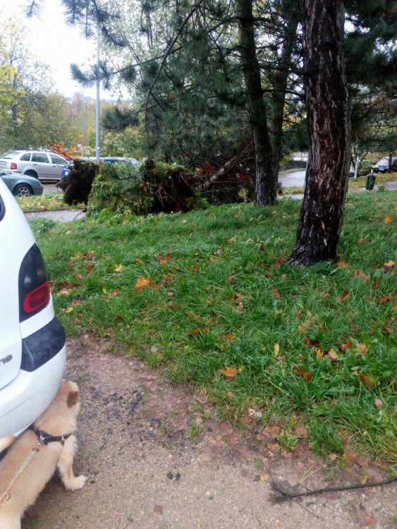 Silný vítr komplikuje život na Liberecku.