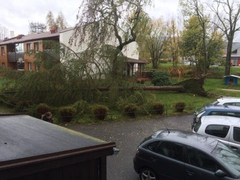 Silný vítr komplikuje život na Liberecku.