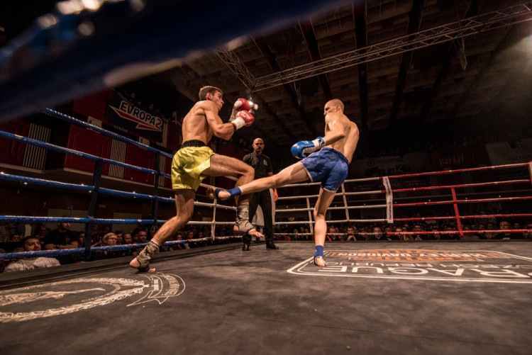 Pardál Gladiators Night 2017