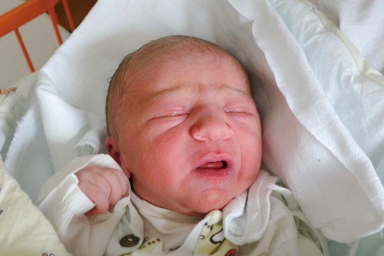 Dominika Bezpalcová