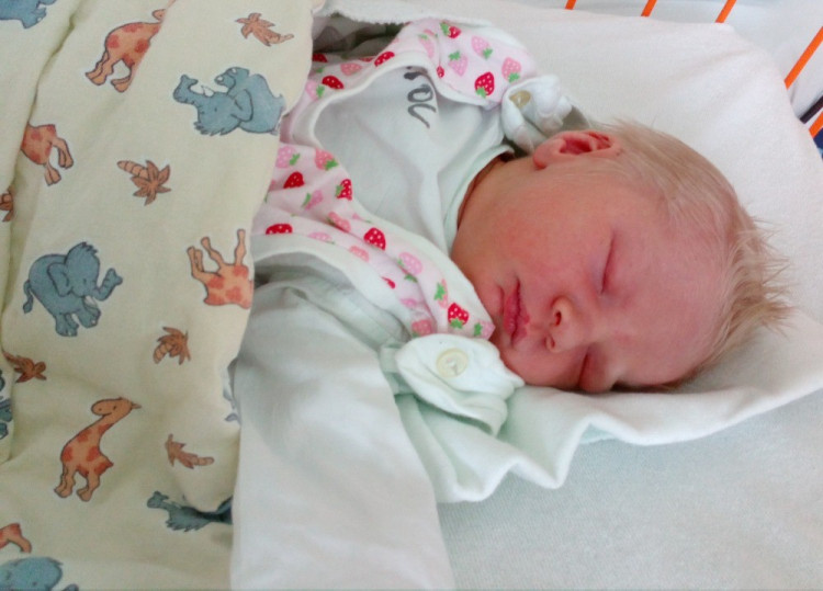 Josefína Cirhanová