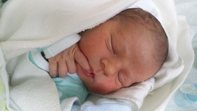 Mikuláš Sedláček