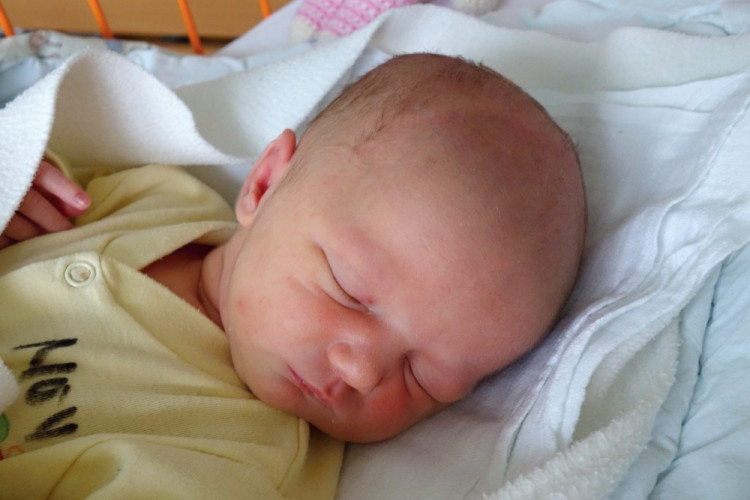 Josefína Sattranová