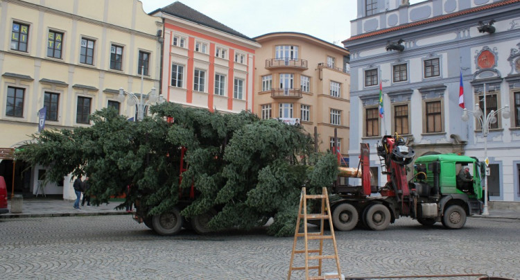 Usazování vánočního stromu na budějcké náměstí