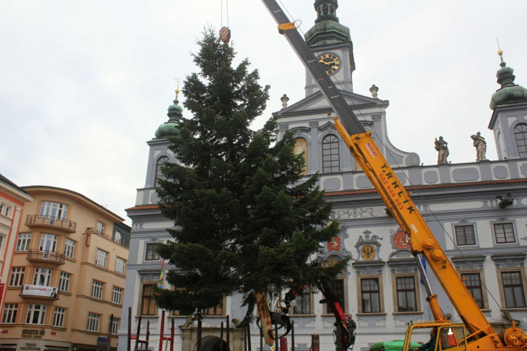 Usazování vánočního stromu na budějcké náměstí