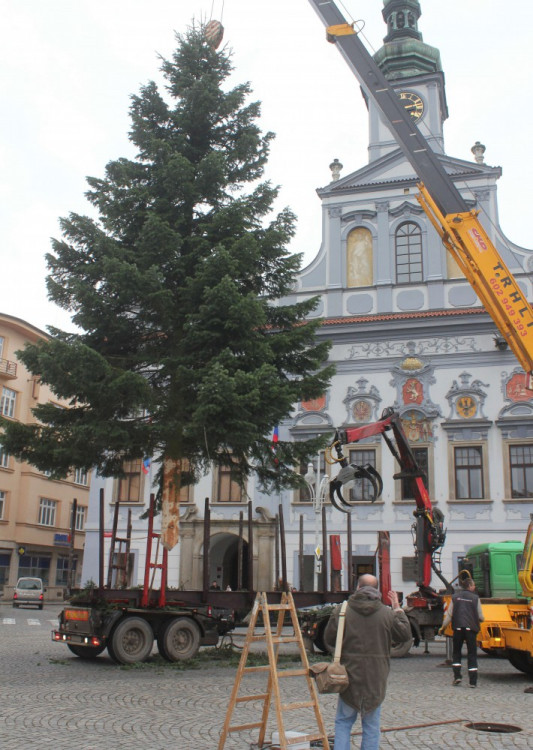 Usazování vánočního stromu na budějcké náměstí