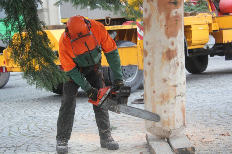 Usazování vánočního stromu na budějcké náměstí