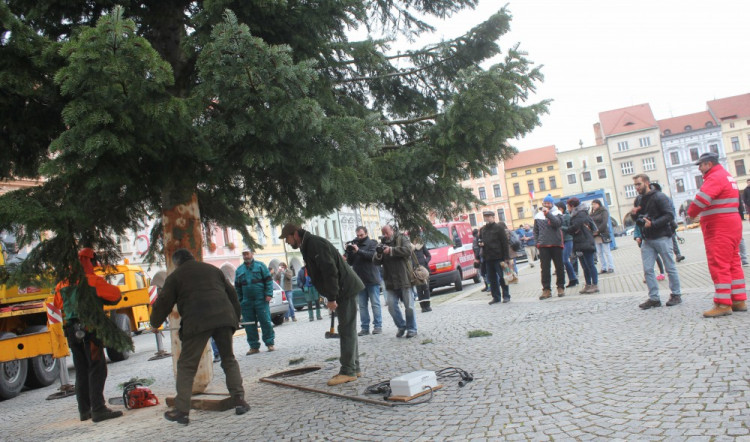 Usazování vánočního stromu na budějcké náměstí