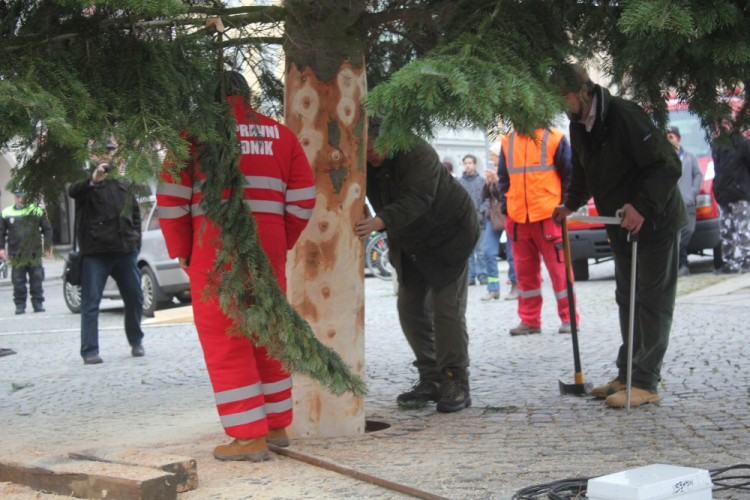 Usazování vánočního stromu na budějcké náměstí