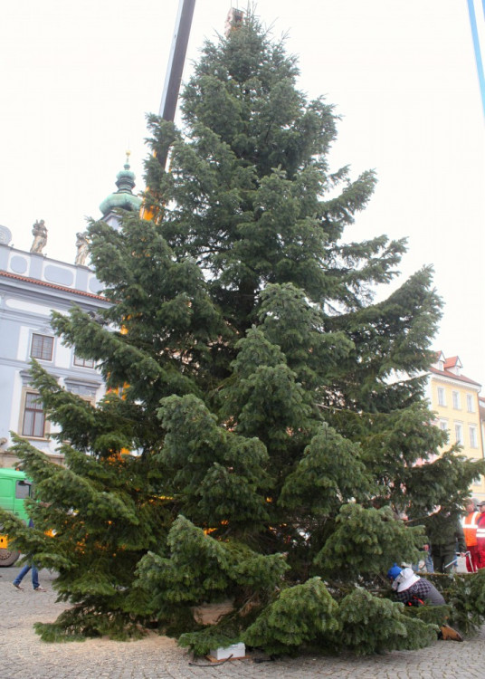 Usazování vánočního stromu na budějcké náměstí