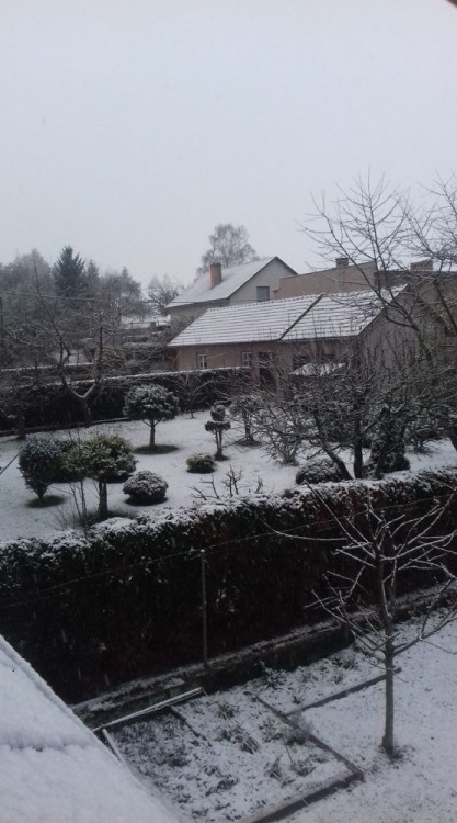 První sníh na Vysočině
