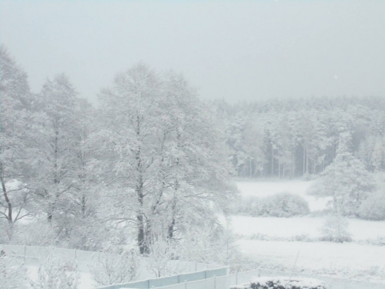 První sníh na Vysočině