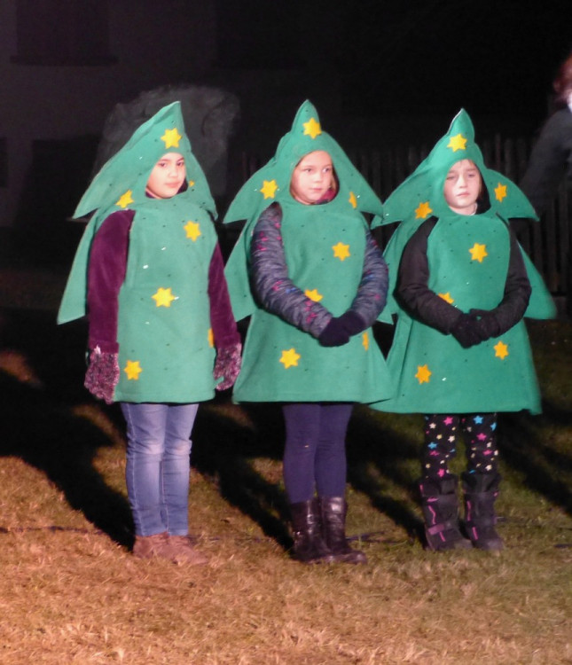 Rozsvícení vánočního stromečku v Cejli na Jihlavsku