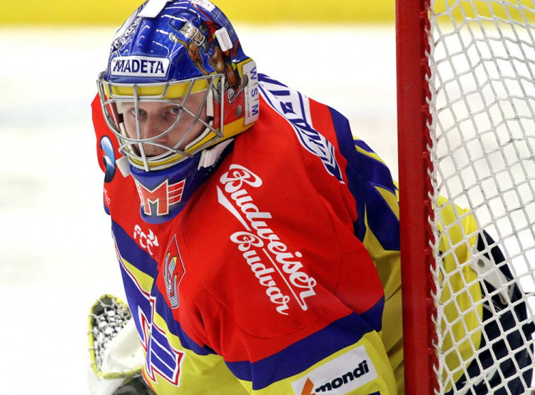 Domácí klec tentokrát střežil David Gába