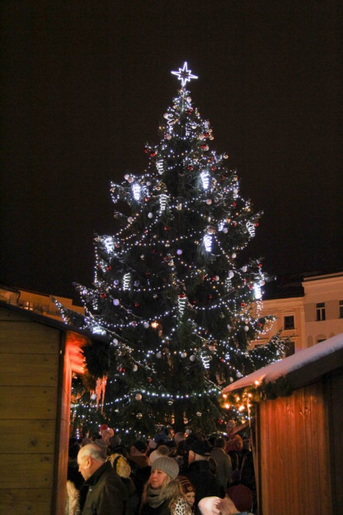 Rozsvícení vánočního stromečku v Jihlavě