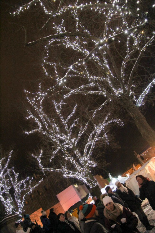 Rozsvícení vánočního stromečku v Jihlavě