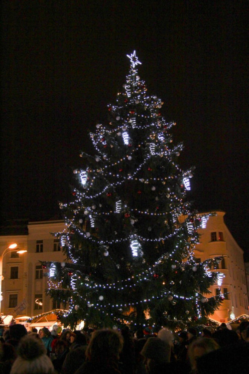 Rozsvícení vánočního stromečku v Jihlavě