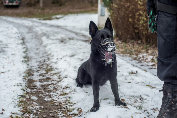 Policisté kontrolují chaty a chalupy