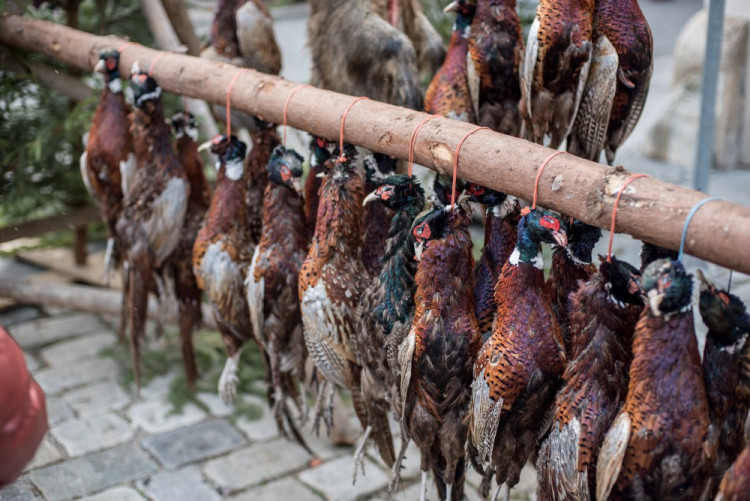 Vánoce na starém městě a staročeská ulička 2017