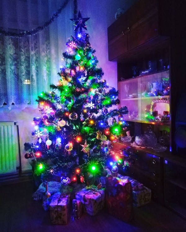 Vánoční stromečky 2017