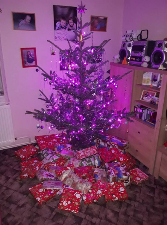 Vánoční stromečky 2017