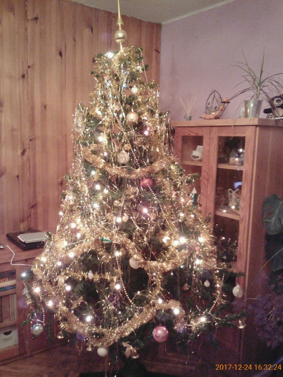 Vánoční stromečky 2017