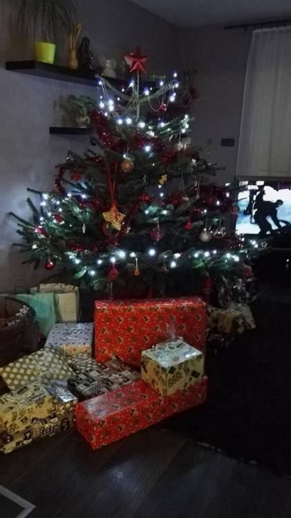 Vánoční stromečky 2017