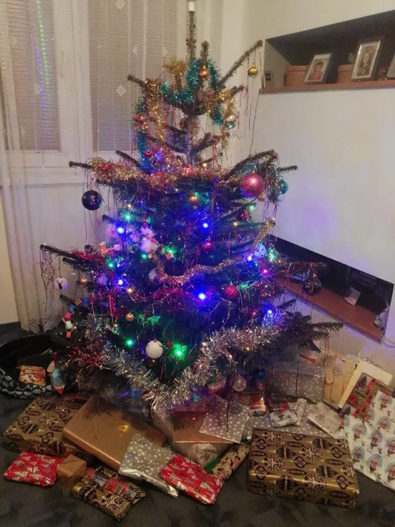 Vánoční stromečky 2017