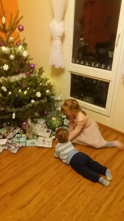 Vánoční stromečky 2017