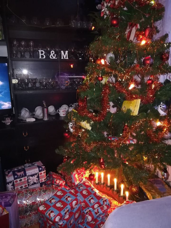 Vánoční stromečky 2017