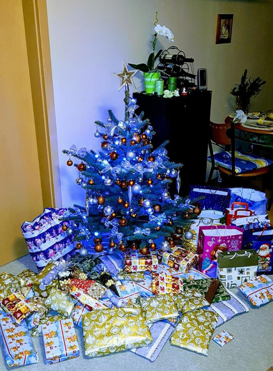 Vánoční stromečky 2017